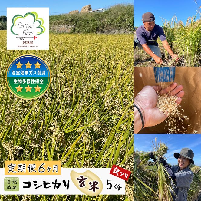 【定期便6ヶ月】自然栽培　コシヒカリ（玄米）　5kg 《無選別品のため訳アリ》