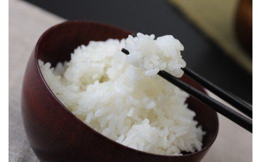 【7年産】冷めても美味しいあっさりとした味わい「みずかがみ」白米【10kg（5kg×2袋）】【C015W1】