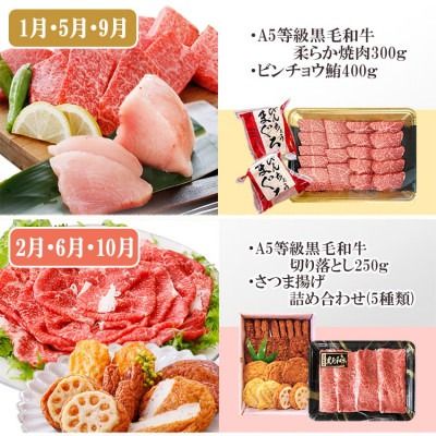 定期便(4回配送)黒毛和牛&まぐろ・かつお・さつま揚げ EE-0046 【1166765】