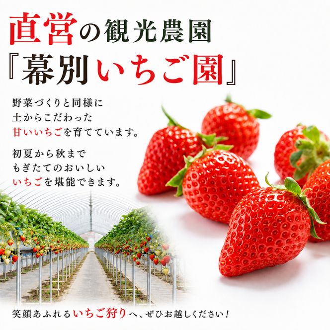 【先行予約】十勝幕別のじゃがいも15kg（北あかり）【北海道ホープランド農場】 野菜 