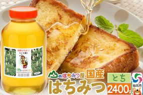 国産 はちみつ トチ 2400g 山のはちみつ屋 [はちみつ ハチミツ 蜂蜜 栃 とち]|02_bsk-080101
