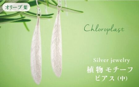 yszA `[t I[u t sAX (  )styChloroplast / NvXgz [ALF004]