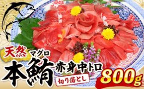  マグロ 中トロ 赤身 切落し【800g (100g×8パック)】天然 本マグロ 本まぐろ まぐろ マグロ 鮪 切り落とし 刺身 刺し身 魚 惣菜 海鮮丼 魚介類 食べきりサイズ 小分け 冷凍 訳あり 不揃い送料無料 室戸 mgr tk152!