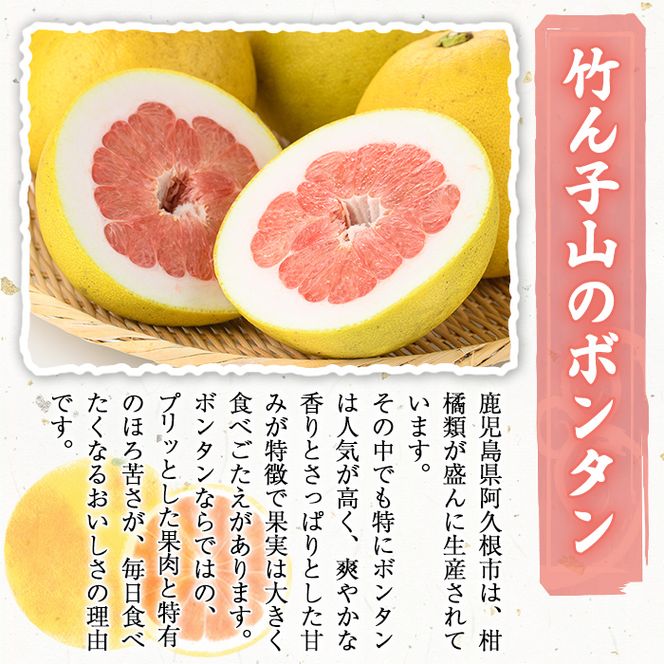＜先行予約受付中！2027年1月上旬以降順次発送予定＞竹ん子山のボンタン(約3kg) 国産 鹿児島県産 阿久根産 柑橘 果物 フルーツ ぼんたん 文旦 果実 期間限定 【竹ん子山】akn097-11