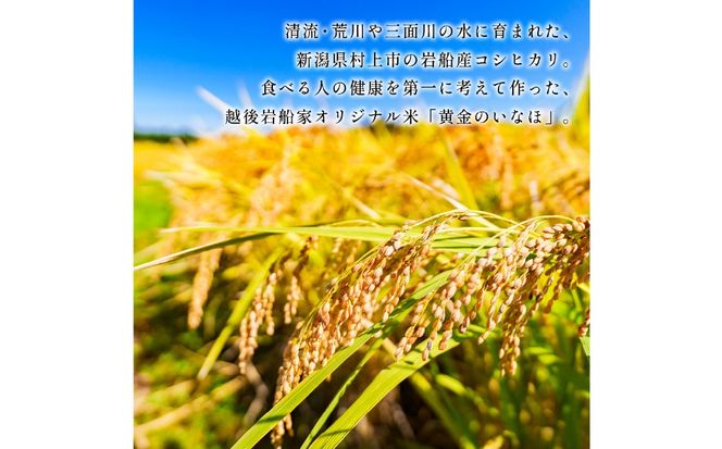 【新米受付・令和8年産米】自然豊かな風土が育んだ新潟県村上市岩船産コシヒカリ15kg（5kg×3袋）NC4023