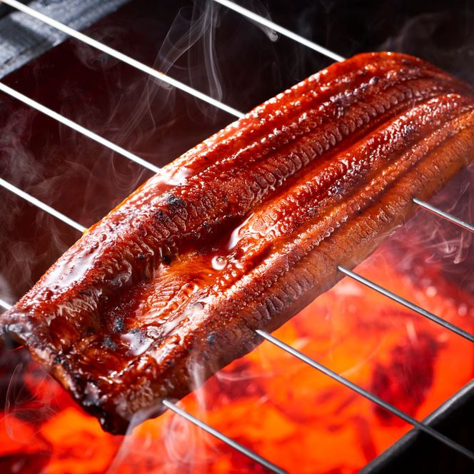 うなぎ 蒲焼 200g×2尾【鹿児島産】地下水で育てた絶品鰻 464686_AQ108