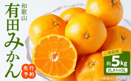 AT6307_【2026年先行予約】ご家庭用　和歌山有田みかん 約5kg (2L、3Lサイズいずれか)【湯浅町】