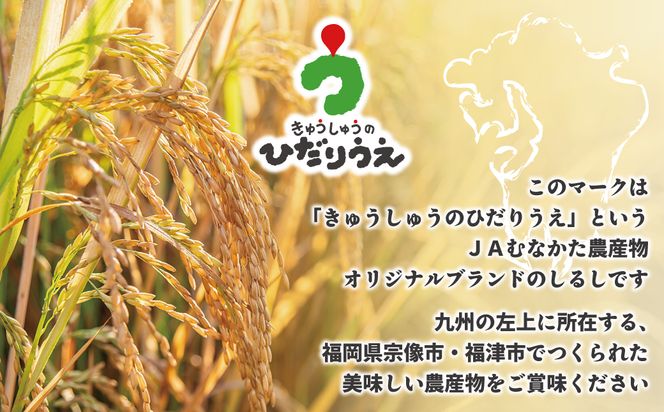 令和7年産 【定期便/年6回】「夢つくし」5kg【ほたるの里】_HB0208