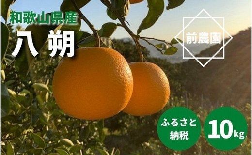 BL6010n_【2027年先行予約】【産地直送】和歌山県産 八朔 10kg (M～3Lサイズ)
