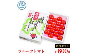 【先行予約】フルーツトマト特選ギフト 約800g <2027年1月〜発送> / 特Aランク トマト フルーツトマト 池トマト 糖度10度以上 高糖度 高知県産 ギフト 箱入り 贈答用 贈り物 健康【池トマト】[BQAG024]