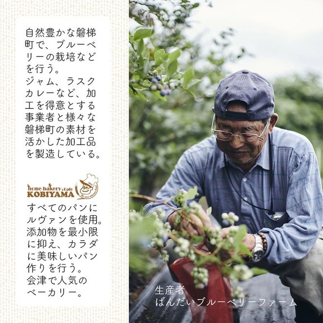 ラスク（ブルーベリー）　5個セット（7枚入り）　米粉　