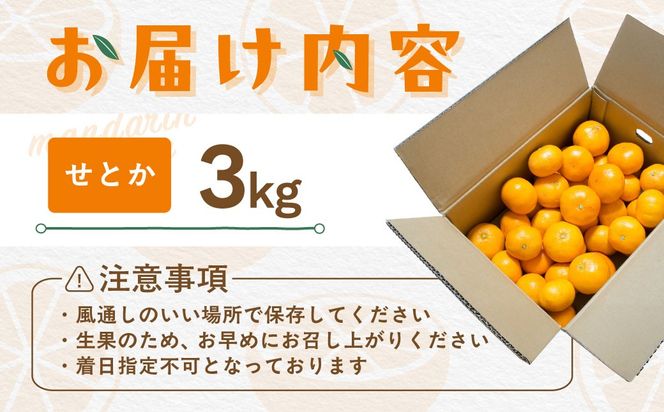 【先行受付】【数量限定】【贈答用】せとか（生果）3kg（2027年2月頃より順次発送） IKTQ009
