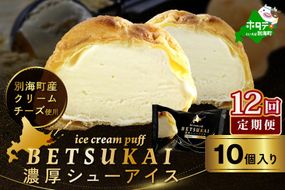 北海道 別海町 【12か月定期便】 BETSUKAI 濃厚 シューアイス 10個 セット【NSM120001】