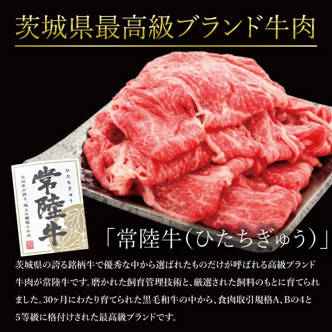 J-6 茨城最高のブランド牛【常陸牛切り落とし】600g