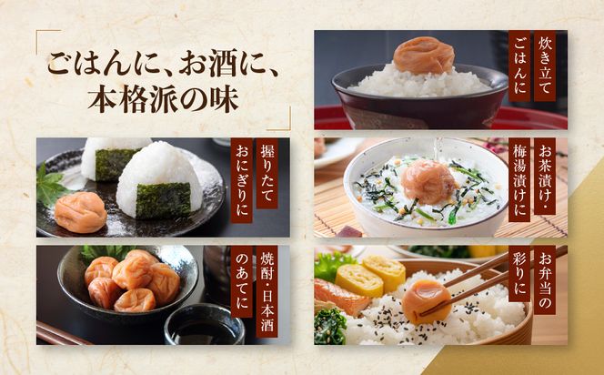 紀州南高梅 しそプレミアム塩分約6％ 500g ［YM13］ 303446_DX90016