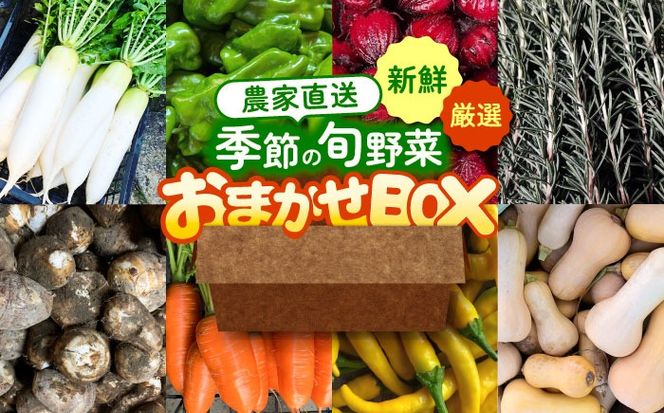 野菜 季節の旬の野菜おまかせBOX 農家直送 野菜 詰め合わせ 愛西市 / 平野農園[AEDO001]