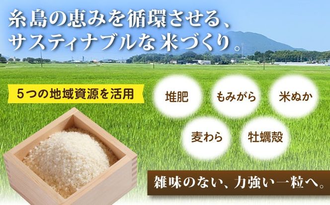 【全6回定期便】 にこまる 玄米品質1等米 白米 10kg 糸島市産 糸島市 / 糸島の恵み コメ こめ ご飯[AGR012]