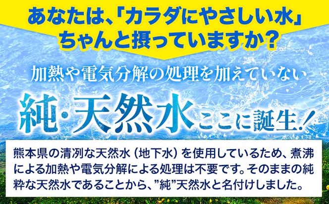 熊本イオン純天然水 ラベルレス 500ml×90本 大容量 《30日以内に出荷予定(土日祝除く)》 水 飲料水 ナチュラルミネラルウォーター 熊本県 玉名郡 玉東町 完全国産 天然水 くまモン パッケージ ---gkt_gfrst90_30d_24_10500_ni---