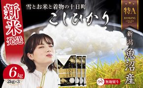 【令和8年産 新米】 無地のし 新潟県 魚沼産 コシヒカリ お米 6kg  (2kg×3袋) 精米済み お米 こめ 白米  こしひかり 送料無料 魚沼 十日町
