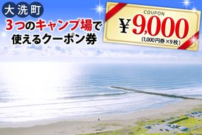 大洗 キャンプ場 クーポン券 9000円分（1000円×9枚） 大洗サンビーチキャンプ場 大洗キャンプ場 サンセット松川キャンプ場 チケット 利用券 アウトドア 旅行