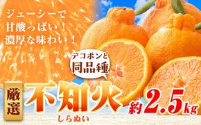 プリッと濃厚!!旬を厳選 不知火 デコポン 同品種 みかん 約2.5kg+250g（傷み補償） 池田鹿蔵農園 《2026年2月上旬-3月末頃より出荷予定》和歌山県 日高町 送料無料 しらぬい でこぽん 濃厚 厳選みかん 厳選デコポン 傷み補償分付き【配送不可地域あり】---wsh_idn331_2j3m_25_12000_2500g---
