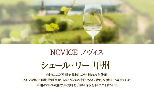 【2024年11月～発送】白ワイン NOVICE ノヴィス 白 2種 セット シュール・リー 甲州＆甲州 720ml 各1本 計2本 フルボトル 日川中央葡萄酒 山梨県 笛吹市 177-7-21