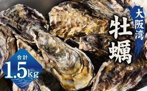 G2186 牡蠣 1.5kg【先行予約 カンカン焼きセット かき 冷凍 加熱用 殻付き 魚介類 海鮮 大阪湾 産地直送】