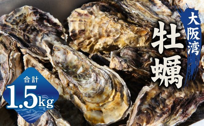 G2186 牡蠣 1.5kg【先行予約 カンカン焼きセット かき 冷凍 加熱用 殻付き 魚介類 海鮮 大阪湾 産地直送】