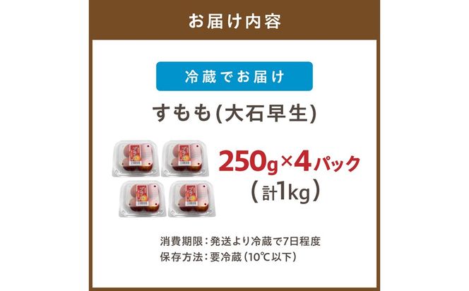 【先行予約】【2027年6月より順次発送】【JAむなかた すもも部会より】すもも(大石早生）1kg（250g×4パック）【JAほたるの里】_HA1254