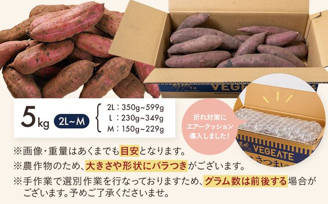先行受付!【11月お届け】島津甘藷　熟成紅はるか 5kg(2L～M)_LE-A7-001-5kg-11