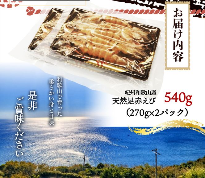 紀州和歌山産天然足赤えび540g（270g×2パック）化粧箱入 ※2026年12月上旬〜2027年2月上旬頃順次発送予定（お届け日指定不可）／海老 エビ えび クマエビ 足赤 天然 おかず【uot772A】