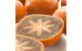 【先行予約】【秋の美味】【和歌山ブランド】和歌山柿　濃厚!紀ノ川柿　10～18玉入り※2026年10月下旬～11月中旬頃に順次発送予定 ※着日指定不可【ard064D】