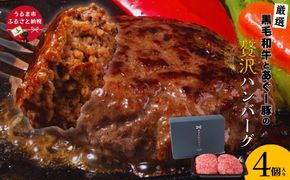 黒毛和牛とあぐー豚の贅沢ハンバーグ　4個入り