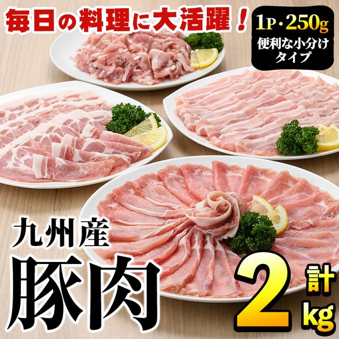 豚肉詰め合わせ(計2kg・1パック250g) 国産 九州産 小分け 個包装 真空パック 定期便 鍋 冷凍配送 ぶた肉 ポーク セット 詰め合わせ ロースしゃぶしゃぶ 肩ロース生姜焼き 豚バラスライス こま切れ【三九】akn006-03