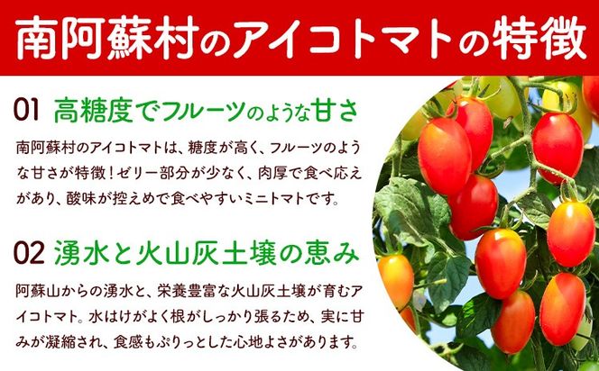 ミニトマト アイコ 約2kg 約3kg ますだふぁーむ《7月上旬-11月末頃出荷》熊本県 南阿蘇村 アイコトマト 野菜 旬 夏野菜 トマト---sms_msf_af711_r7_11000_2kg---