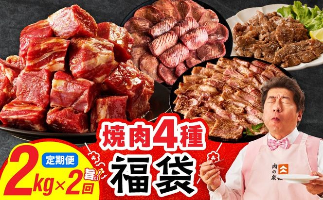 mrzZ026 焼肉 福袋 4種セット 定期便 2kg×2回【氷温熟成×特製ダレ 食べ比べ 小分け 500g 牛肉 牛タン ヒレ ハラミ バラ 数量限定 毎月配送コース】