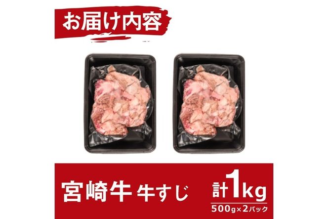 宮崎牛すじ(計1kg・500g×2袋)牛スジ肉 国産 牛肉 和牛 お肉 おにく 宮崎県産 ブランド牛 小分け おでん カレー 煮込み料理 鍋【MF-6】【株式会社エムファーム】