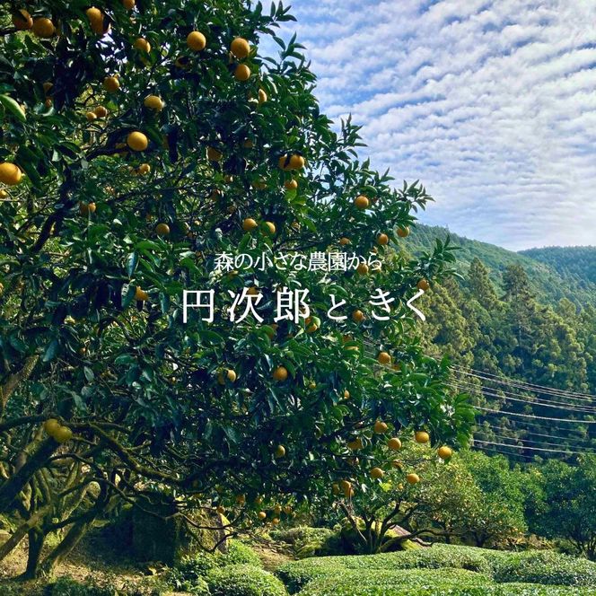 和歌山県産 手作り 八朔＆甘夏 ジャム食べ比べセット〈保存料・ペクチン・着色料・香料不使用〉円次郎ときく 304018_EX02