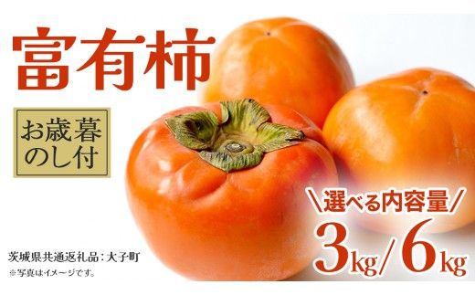 《 選べる 内容量 》【 お歳暮 熨斗付き 】富有柿 約3kg / 約6kg (茨城県共通返礼品：大子町) 果物 フルーツ 旬 季節限定 期間限定 贈答用 ギフト 贈り物