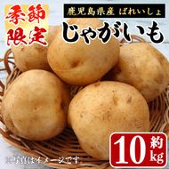 ＜先行予約受付中！2027年1月中旬以降順次発送予定＞ 期間限定！ばれいしょ(10kg) 馬鈴薯 じゃがいも ジャガイモ ポテト イモ 芋 野菜 旬 季節限定 秋馬鈴薯 国産 鹿児島県産 常温 肉じゃが ポテトサラダ フライドポテト 【黒坂青果】akn049-06