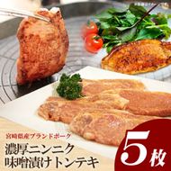 【宮崎県産ブランドポーク】濃厚ニンニク味噌漬けトンテキ 500g
