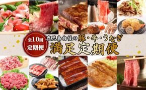 【全10回定期便】鹿児島自慢の豚・牛・うなぎ「満足定期便」　K086-T11