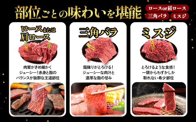 宮崎県産 黒牛 焼肉 赤身 牛肉 焼肉セット ロース 肩ロース 三角バラ ミスジ 3点盛り 840g(280g × 3パック)焼肉用 肉 お肉 牛 国産牛 食べ比べ セット 小分け 真空パック  冷凍 贈答 贈答用 ギフト BBQ アウトドア キャンプ  国産 国産牛 九州 宮崎県 えびの市 