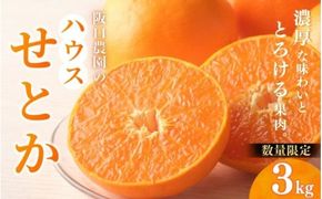 みかん せとか 阪口農園のハウスせとか 3kg (2L～3L 9玉～12玉) 【先行予約】【数量限定】【2026年2月中旬～3月中旬までに順次発送】 せとか ハウスせとか みかん ミカン 蜜柑 柑橘 フルーツ 果物 くだもの 旬 産地直送 農家直送【msa001B】
