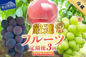 【2025年先行予約】【 定期便 】 厳選 フルーツ 3回 定期便 シャインマスカット 桃 黒ぶどう 果物 フルーツ くだもの 旬 もも ぶどう 高級 山梨 富士吉田