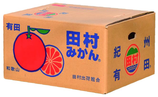 V7449_【2026年先行予約】青秀 田村みかん 5kg Sサイズ