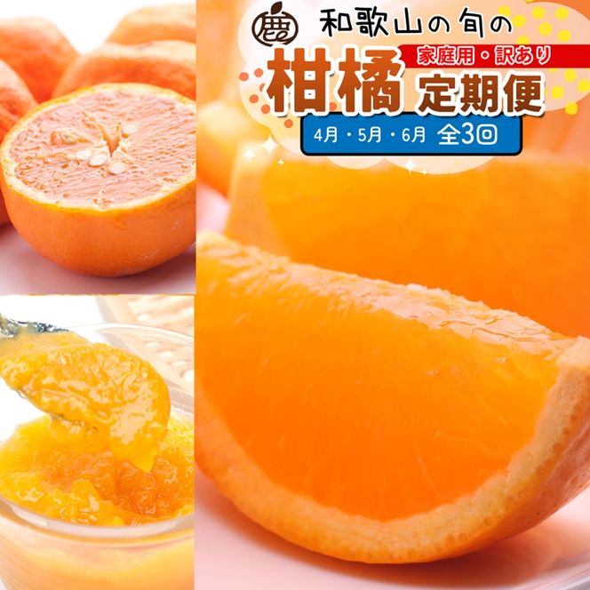 【定期便】家庭用 柑橘定期便 M 3回（4～6月）※北海道・沖縄・離島への配送不可※4月・5月・6月に発送