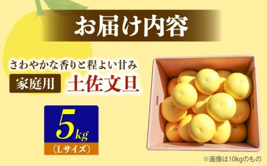 【先行予約】土佐文旦の創始 宮地文旦園の土佐文旦　小玉（L)約5キロ〈2027年3月上旬～4月下旬〉くだもの 柑橘類 デザート ギフト 贈り物【宮地文旦園】 [BQBP010]