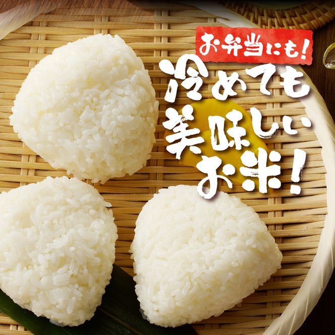 《令和7年産》特別栽培米ななつぼし 5kg | 16年連続特A ブランド米 白米 精米 米 お米 こめ 減農薬 単一原料米 ご飯 贈答 ギフト お試し 北海道米 北海道 滝川市