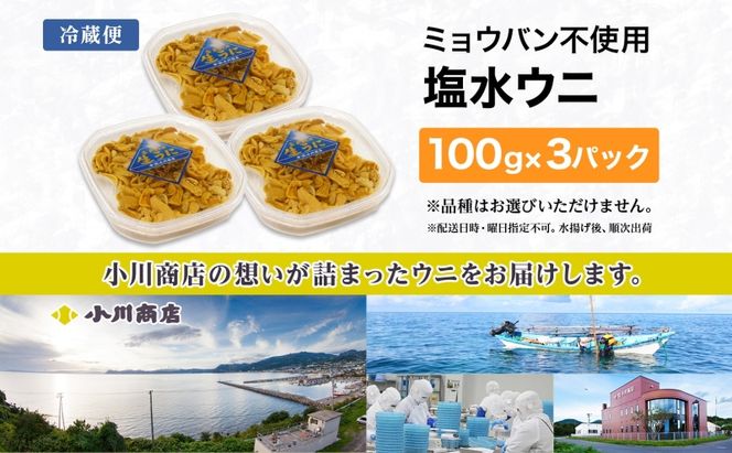 ミョウバン不使用 塩水 ウニ100g 3パック 7月下旬頃までお届け  [水揚げ後 順次出荷]  キタムラサキウニ うに ウニ 雲丹 ムラサキウニ 魚貝 魚介 海鮮 海産 小川商店 送料無料 北海道 洞爺湖